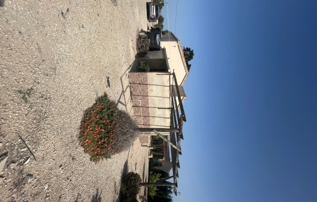 Sale - Finca - Elche - Partida Daimes, La Hoya