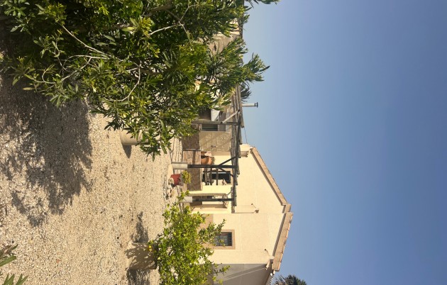 Sale - Finca - Elche - Partida Daimes, La Hoya