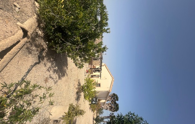 Sale - Finca - Elche - Partida Daimes, La Hoya