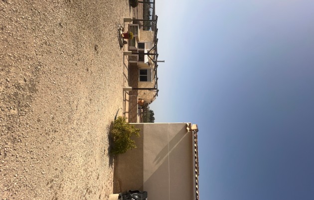 Sale - Finca - Elche - Partida Daimes, La Hoya