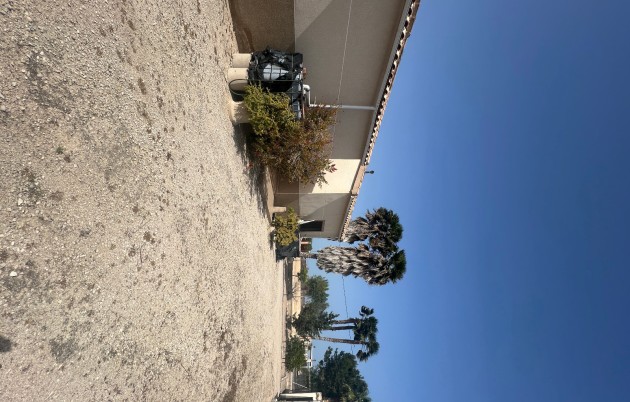 Sale - Finca - Elche - Partida Daimes, La Hoya