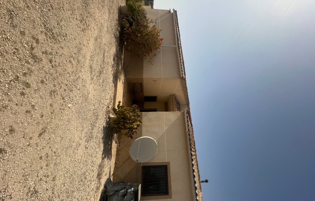 Sale - Finca - Elche - Partida Daimes, La Hoya