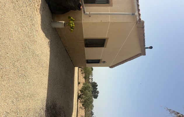 Sale - Finca - Elche - Partida Daimes, La Hoya