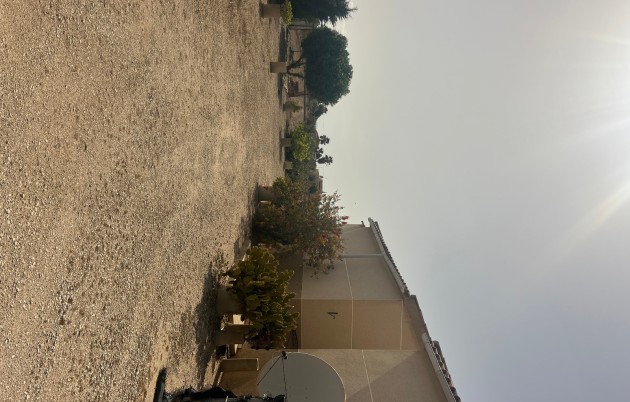 Sale - Finca - Elche - Partida Daimes, La Hoya