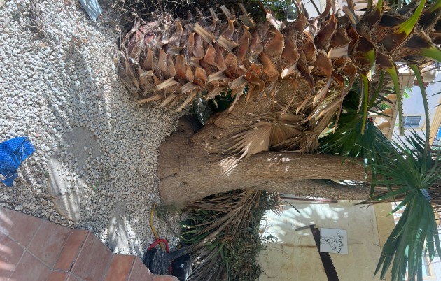 Sale - Detached house - San Fulgencio - Urb. La Marina