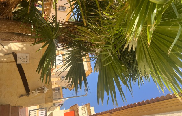 Sale - Detached house - San Fulgencio - Urb. La Marina