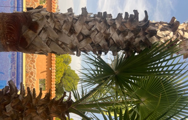 Sale - Villa - San Fulgencio - Urb. La Marina