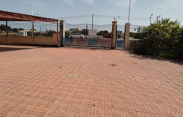 Sale - Detached house - Elche - El Pinet