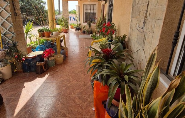 Sale - Detached house - Elche - El Pinet