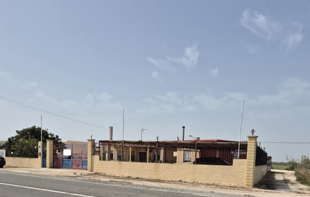 Sale - Detached house - Elche - El Pinet