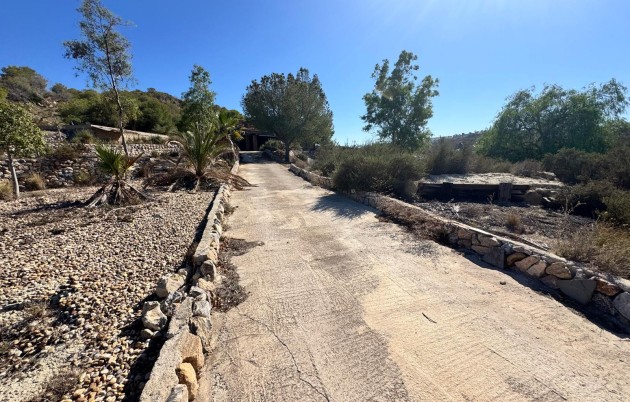 Sale - Finca - Guardamar del Segura - Guardamar