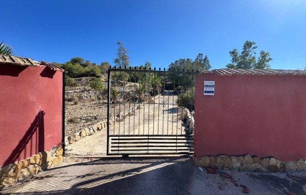 Sale - Finca - Guardamar del Segura - Guardamar