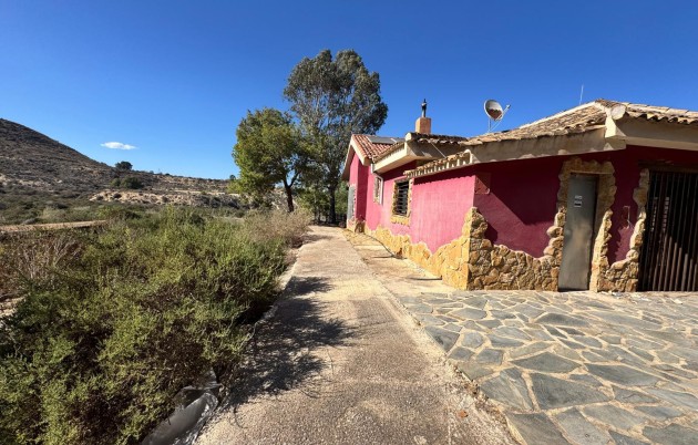 Sale - Finca - Guardamar del Segura - Guardamar