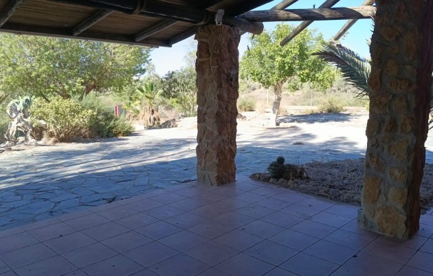 Sale - Finca - Guardamar del Segura - Guardamar