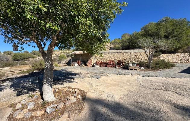 Sale - Finca - Guardamar del Segura - Guardamar