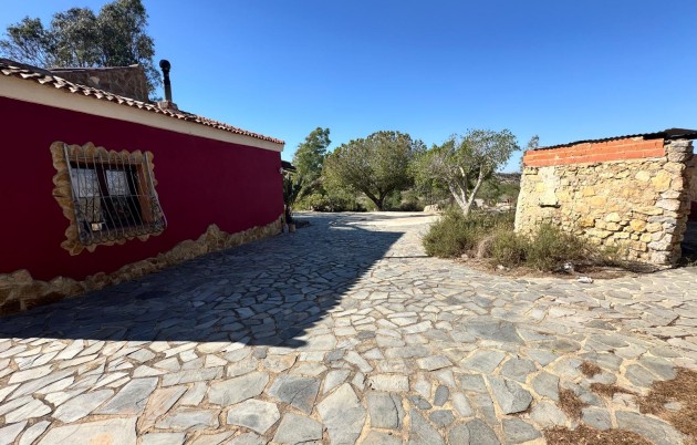 Sale - Finca - Guardamar del Segura - Guardamar