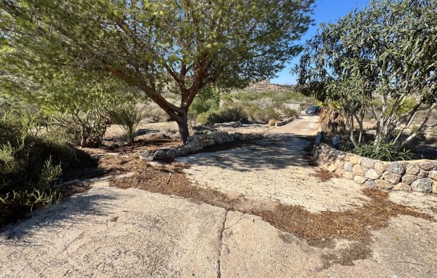 Sale - Finca - Guardamar del Segura - Guardamar