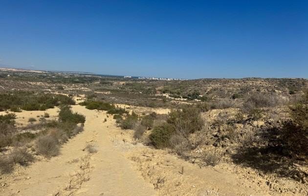 Sale - Finca - Guardamar del Segura - Guardamar