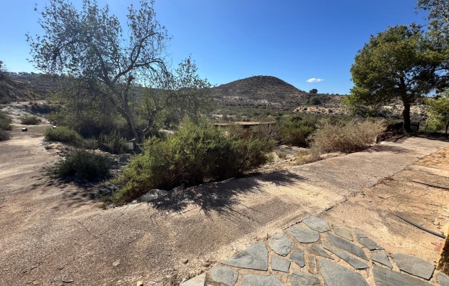 Sale - Finca - Guardamar del Segura - Guardamar