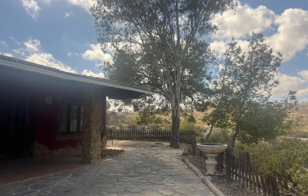 Sale - Finca - Guardamar del Segura - Guardamar
