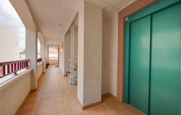 New Build - Apartment - San Fulgencio