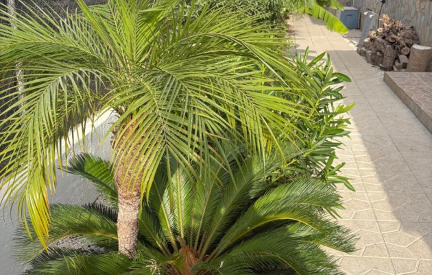 Sale - Detached house - San Fulgencio - Urb. La Marina