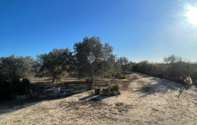 Sale - Finca - Elche - La Marina