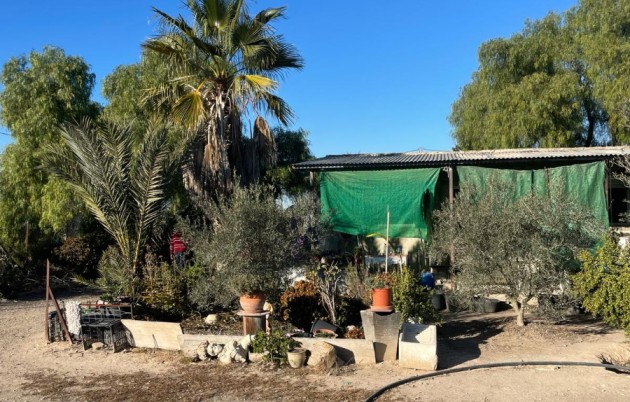 Sale - Finca - Elche - La Marina