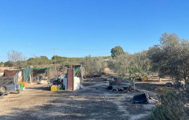 Sale - Finca - Elche - La Marina