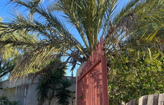 Sale - Finca - Elche - La Marina