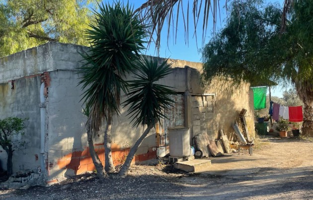 Sale - Finca - Elche - La Marina