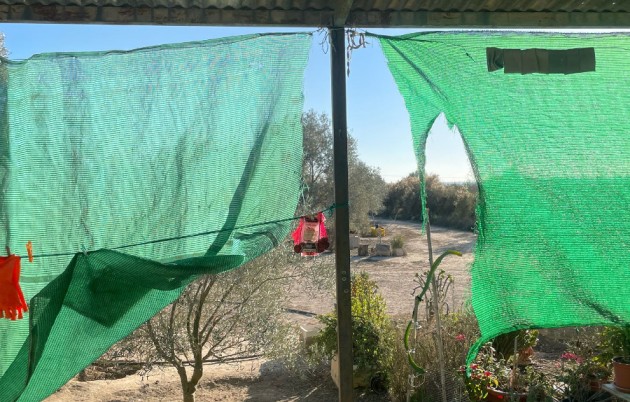 Sale - Finca - Elche - La Marina