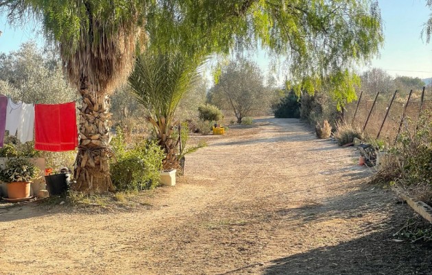 Sale - Finca - Elche - La Marina