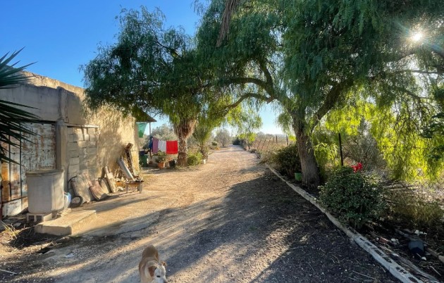 Sale - Finca - Elche - La Marina