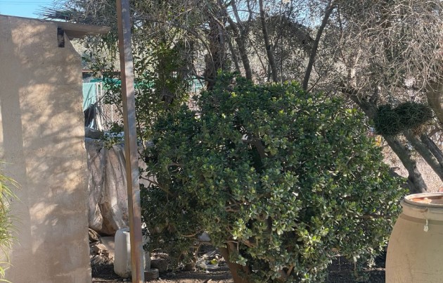 Sale - Finca - Elche - La Marina