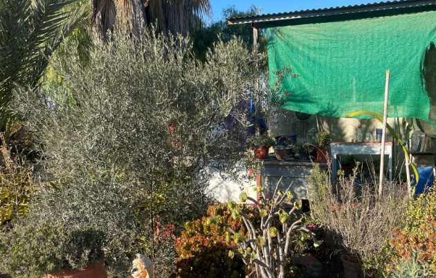 Sale - Finca - Elche - La Marina