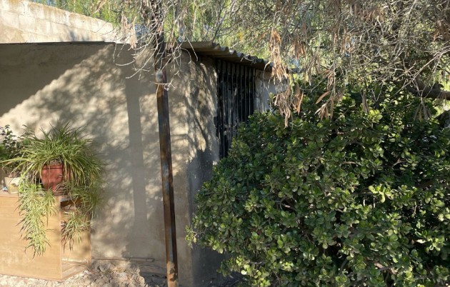 Sale - Finca - Elche - La Marina