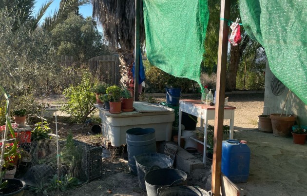 Sale - Finca - Elche - La Marina