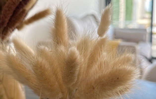 New Build - Wohnung - San Fulgencio - La Marina