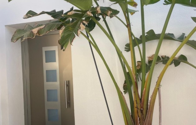 Sale - Detached house - San Fulgencio - Urb. La Marina