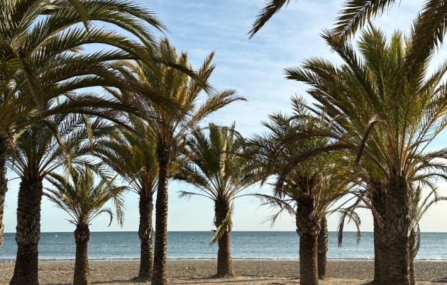 Sale - Apartment - Santa Pola - Santa Pola, Playa Lisa
