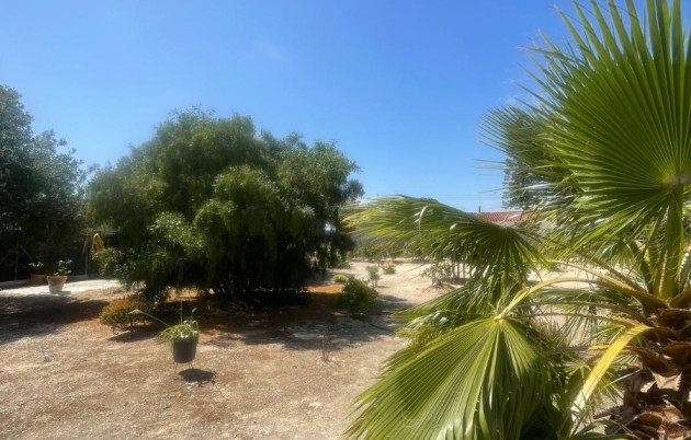 Sale - Detached house - San Fulgencio - La Marina