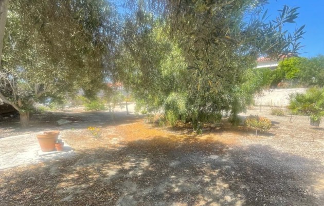 Sale - Detached house - San Fulgencio - La Marina