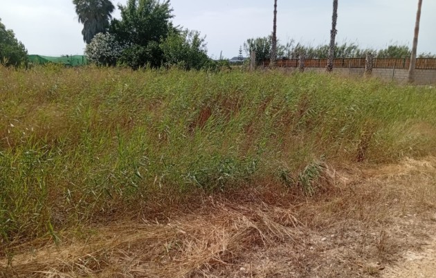 Sale - Plot - Guardamar del Segura - Guardamar