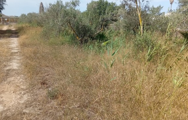 Sale - Plot - Guardamar del Segura - Guardamar