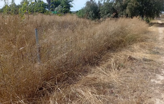 Sale - Plot - Guardamar del Segura - Guardamar
