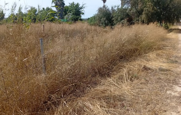 Sale - Plot - Guardamar del Segura - Guardamar