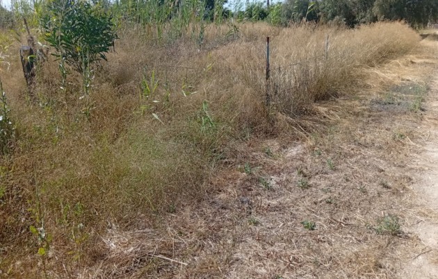 Sale - Plot - Guardamar del Segura - Guardamar