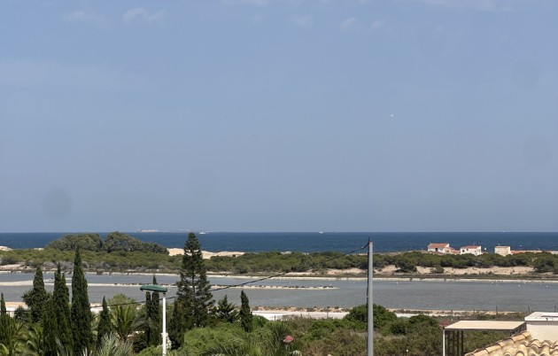 Sale - Detached house - Elche - El Pinet