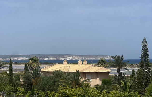 Sale - Detached house - Elche - El Pinet